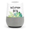 Vitamin Sea Google Home Skin